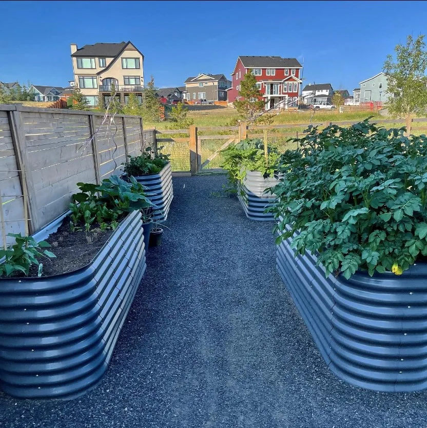 Wholesale Aluzinc Raised Garden Bed Kits Metal Large Planter Box Outdoor