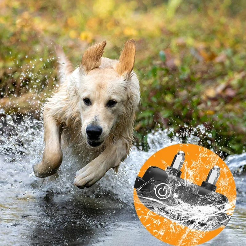 Yonghe Chinese factory tops pet products 1000 m remote hunting dog training collar for 2 dogs