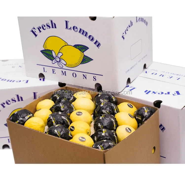 Top Quality Eurak New Season fresh organic fresh lemon