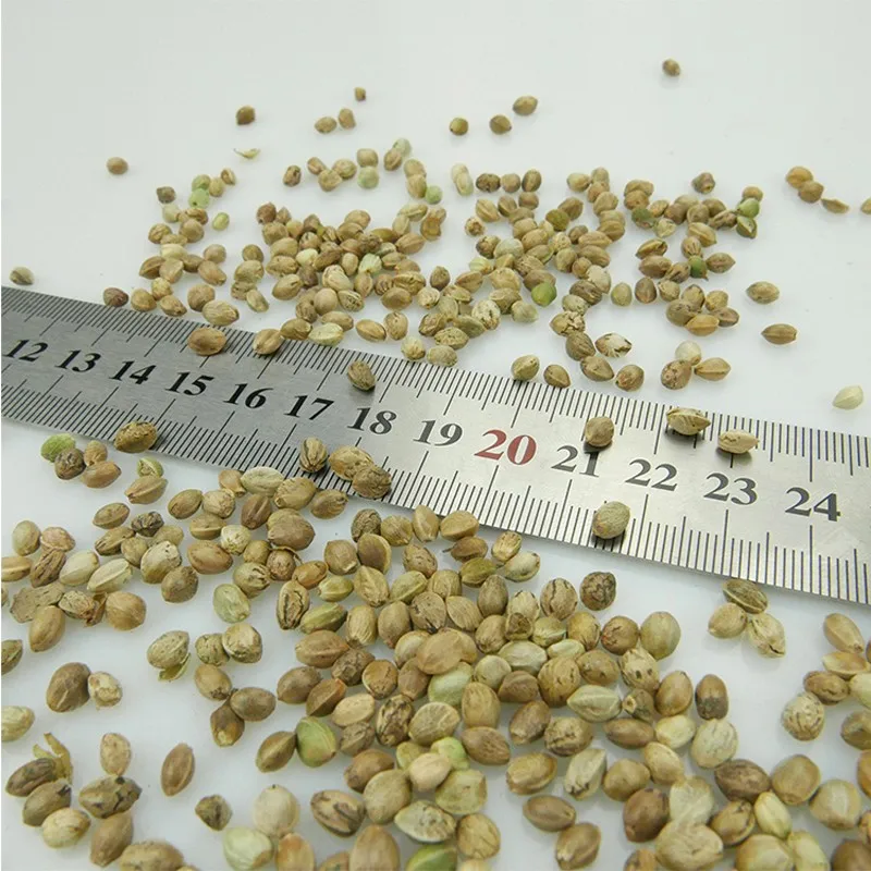 Wholesale Hulled And Unhulled Dried 99% Pure Organic Hemp Seed For Sale