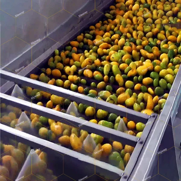 5-6 Tons Multifunctional fruits/ tomato/ mango/ banana/ apple/ pineapple/coconut Processing Line/Plant/Factory and Machines