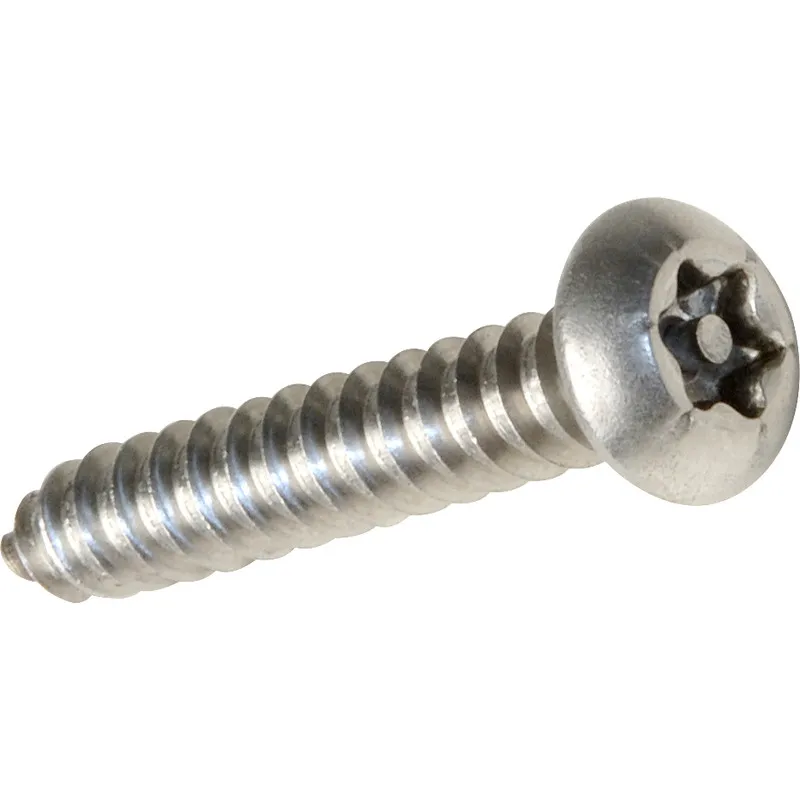 Stainless Steel Torx Pin Button Self Tapping Security Screw