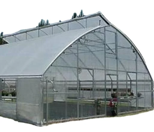 Agricultural baby lettuce cultivation greenhouse