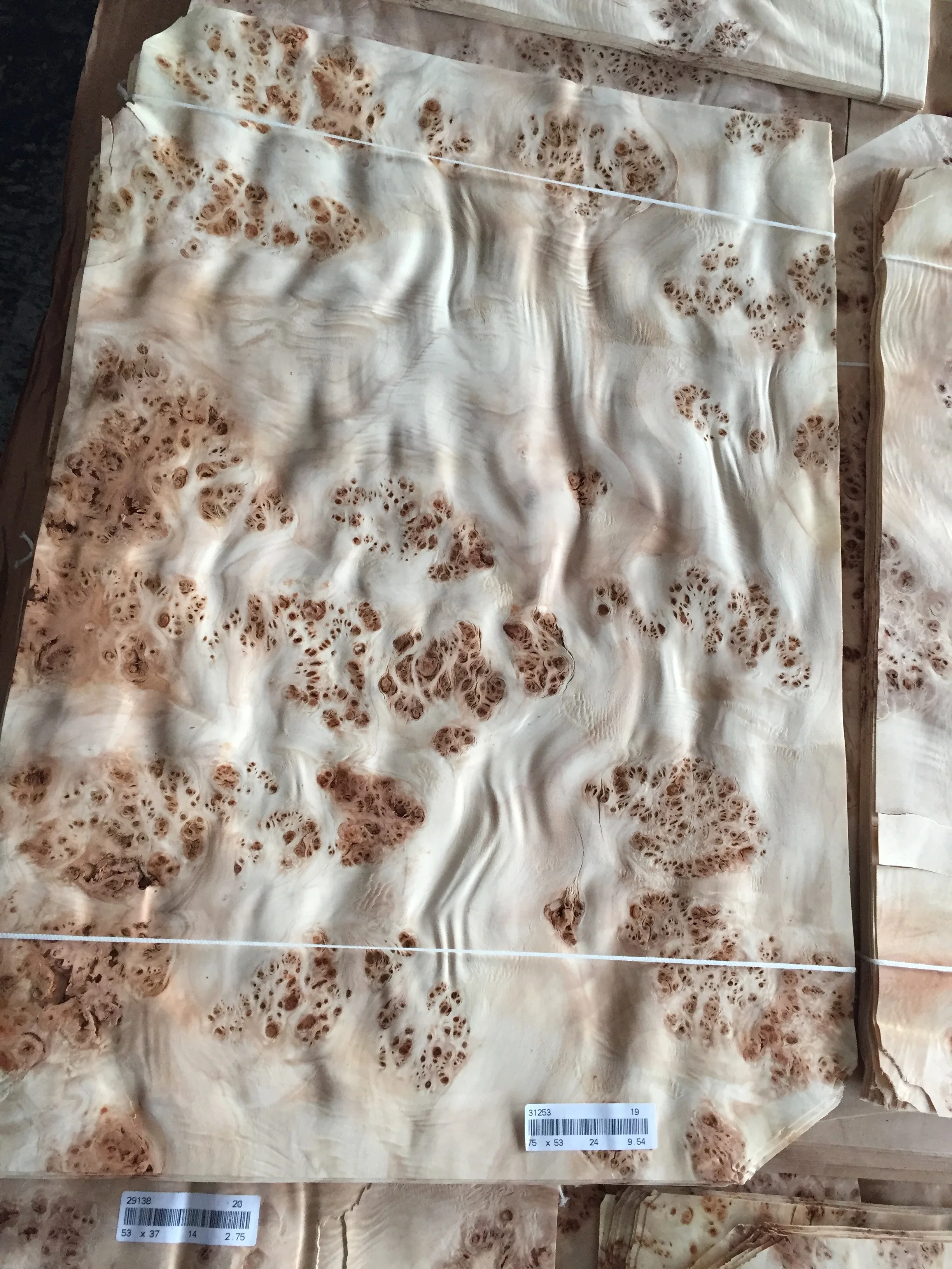 Exotic Romania Mappa Burl Wood Veneer for Interior Decoration