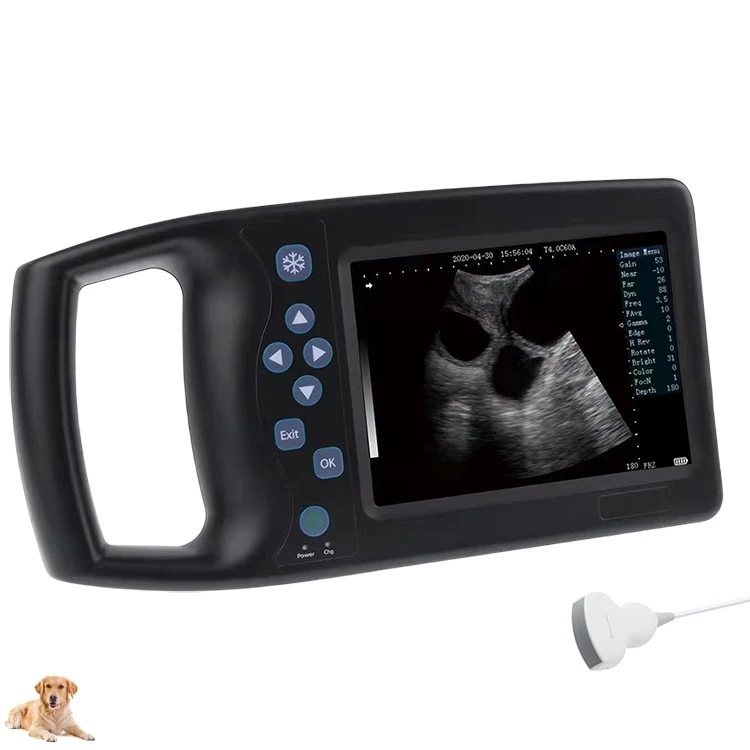 Veterinary Ultrasound Instruments Portable Pregnancy Black and White Ultrasound with Convex Probe