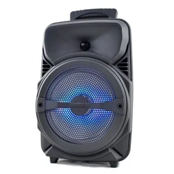 Manufacturer subwoofer big powered 8 inch HIFI Portable Wireless Blue tooth pa outdoor DJ bass party karaoke trolley Speaker