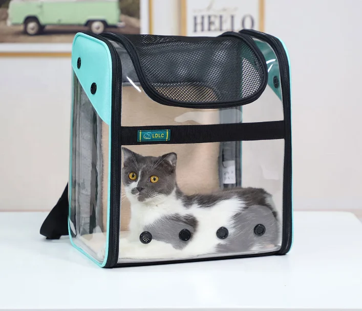Transparent sightseeing PVC foldable dog cat pet carrier backpack airline transport mesh bag