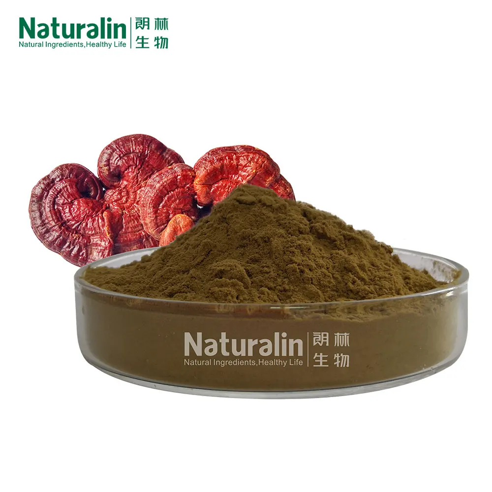 Naturalin Mushroom Extract Powder Blend Maitake Oyster Cordyceps Chaga Reishi Shiitake Lions Mane Organic Mushroom Powder