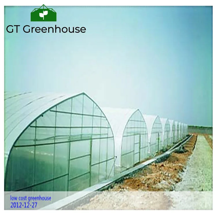 Agricultural product plastic house tunnel Greenhouse For Agriculture Invernaderos China