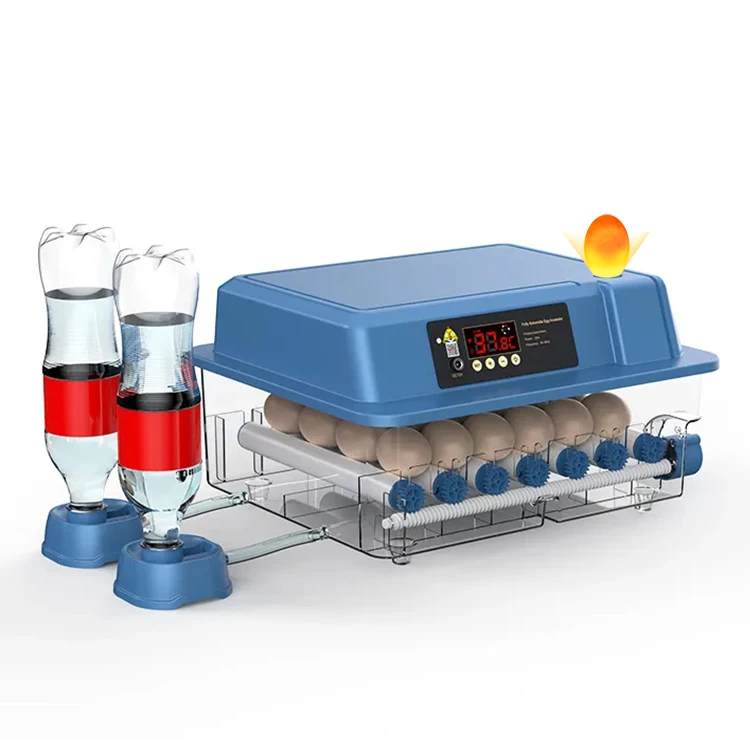 incubadoras de huevos 24 chick or 60 quail eggs hatching machine incubator for sale in Dubai
