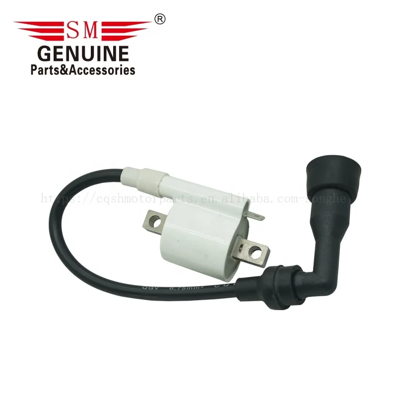 Motorcycle electric parts PULSAR 135 180 XCD125 PLATINO125 DTS-SI pulsar180 ROUSER135 PULSAR135 motorcycle ignition coil