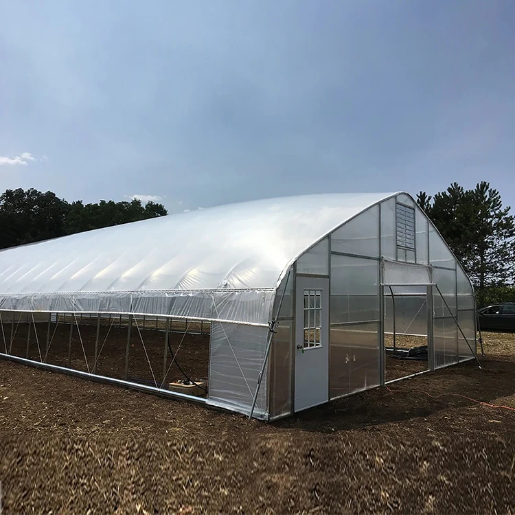 Skyplant Tropitcial roll up vent high tunnel plastic polythene greenhouses for sale