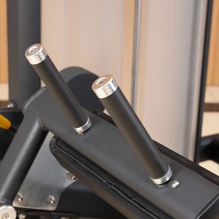 ASJ-DS050 Pin Loaded Leg Extension & Curl for Muscle Building Professional Commercial Gym Fitness Equipment