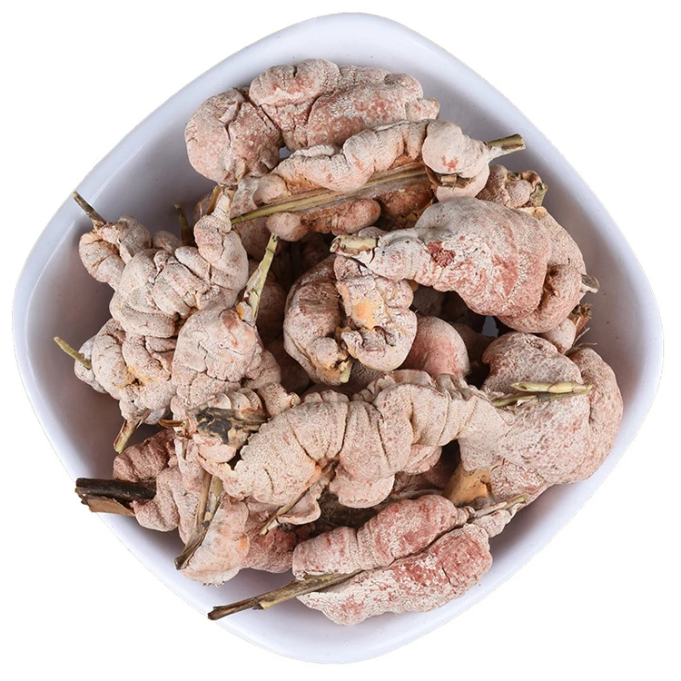 Zhu Hua Natural Shiraia Bambusicola Whole Part Chinese Shiraia Bamboo Flower Single Spices & Herbs for Sale