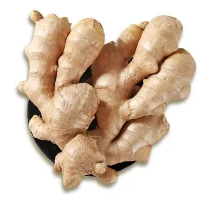 wholesale price of ginger elephant per kg