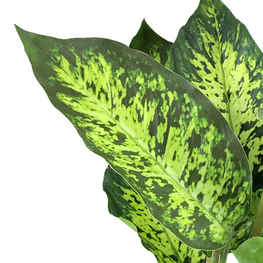 Hot selling artificial plants wholesales wholesale leaves evergreen garden decoration home decoration wedding decoration realistic greenery