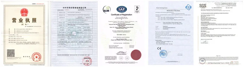 Certificate Display1