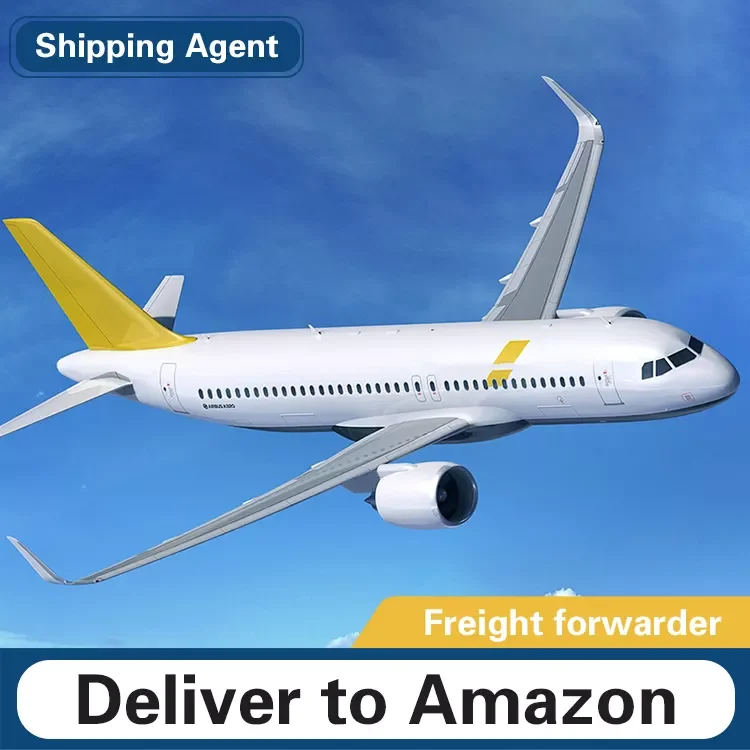 DDP/DDU forwarder Sea Freight china to pakistan/usa USD/RMB agency