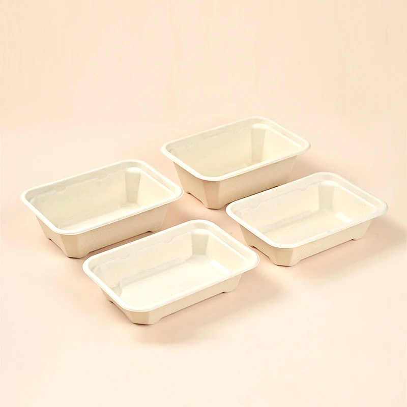 Free Samples Compostable Paper Pulp Lunch Box Disposable Bagasse Pulp Takeaway Food Container With Lid