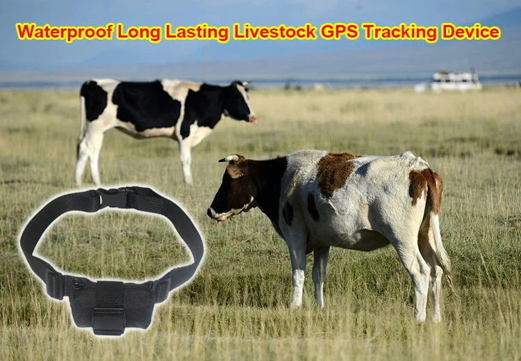 G21 Waterproof Anti-theft Horse Cattle Cow GPS Tracker for Farm Livestock Wild Animal Protection Long Standby Tracking Locator