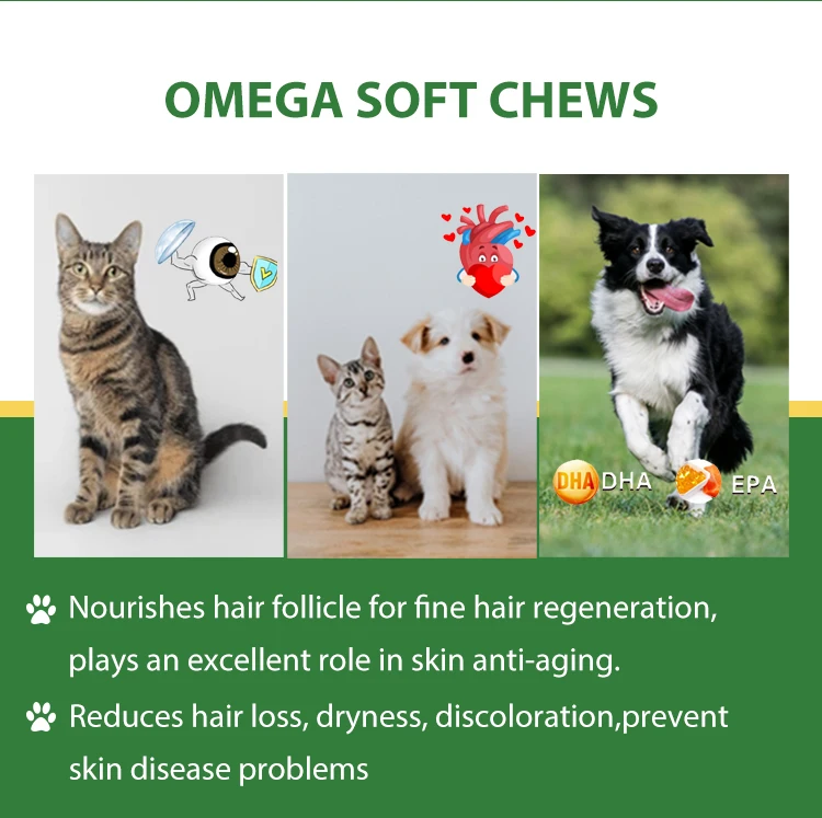 OEM ODM Omega-3 домашнее животное мягкое жевание-рыбий жир для собак с EPA & DHA-способствует здоровью сердца кожи шерсти суставов и иммунитета