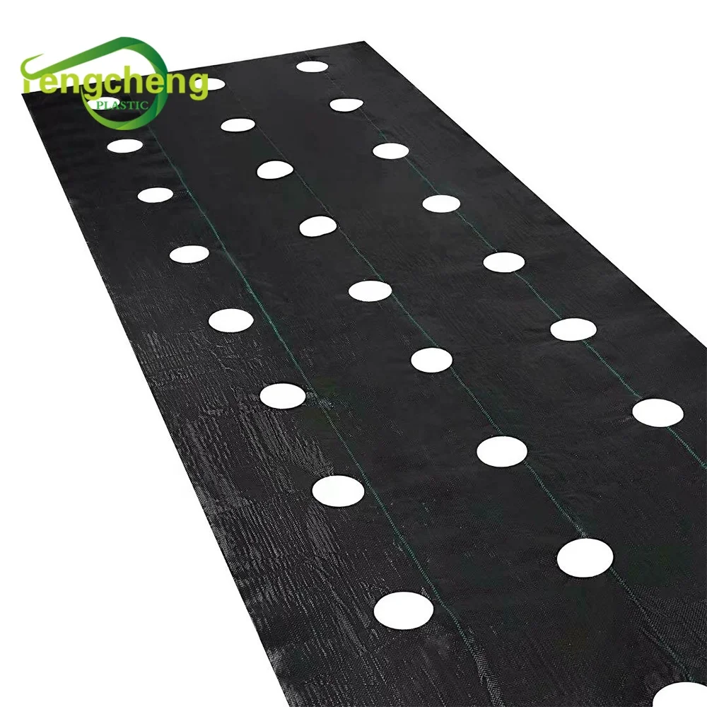 Wholesale Durable Tear-resistant Root Protection PP Woven Mulching Ground Cover Grass Control Fabric Mat For Garden