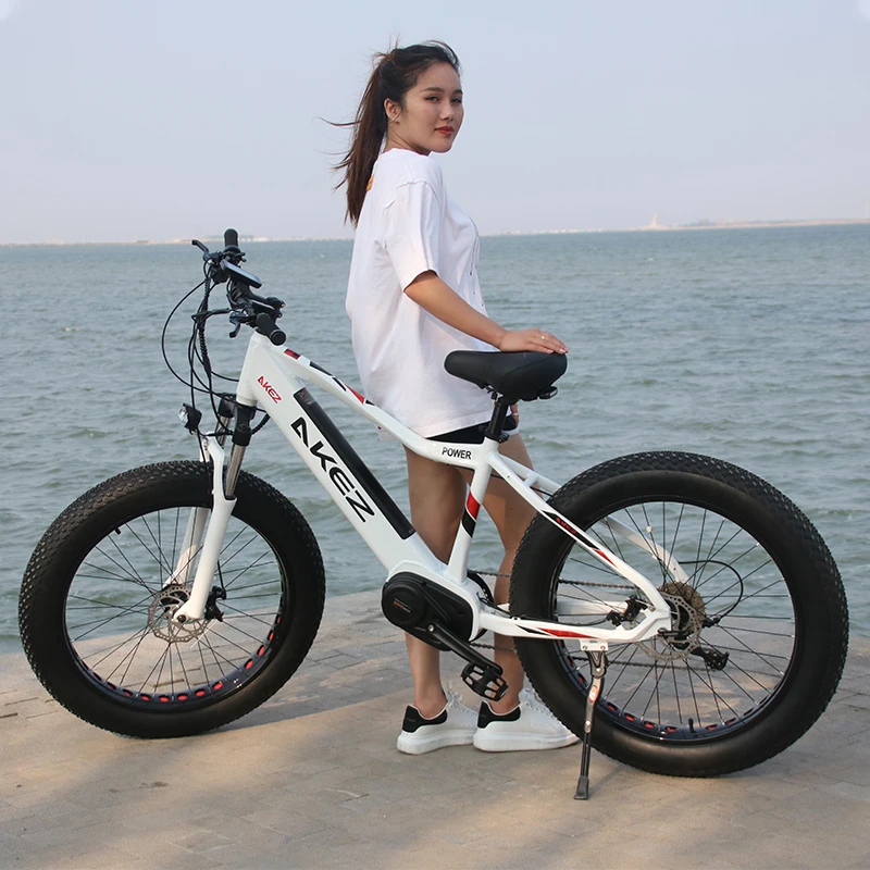 China produces snow bicycle middle motor 48V 500W electric bicycle aluminum alloy frame electric bicycle