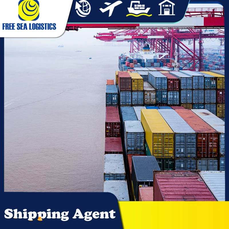 Ddp Shipping Forwarder Freight Shipping Agent To Bangladesh From China