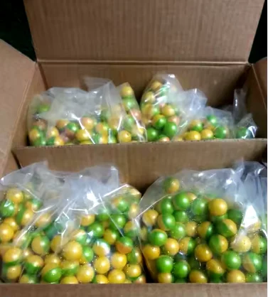 Not Toxic Biodegradable Professional High Quality 0.68 Caliber Paintballs Bullets