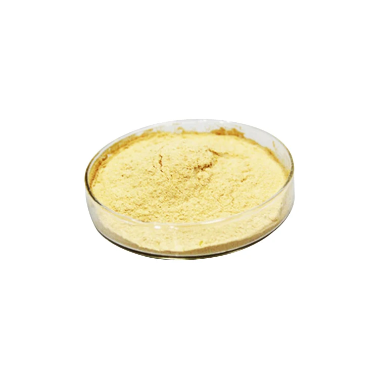 High Quality Natural Dietary Fiber Yellow Herbal Extract Organic Carrot Powder
