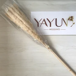 YAYUN CH2042 Hot Selling Home Decor Natural Dried Flower Pampas Grass