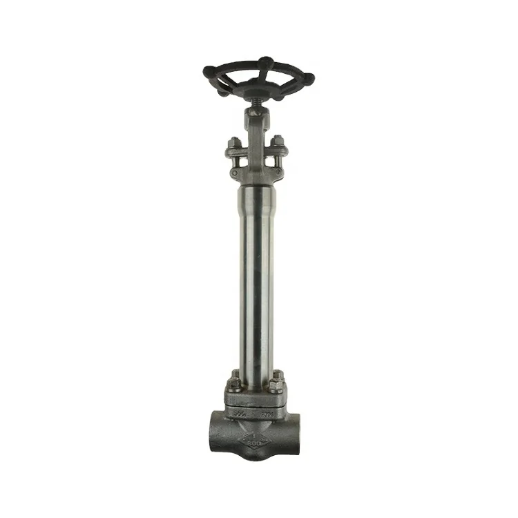 800LB cryogenic valve Stainless Steel Extension Rod Cryogenic Globe Valve