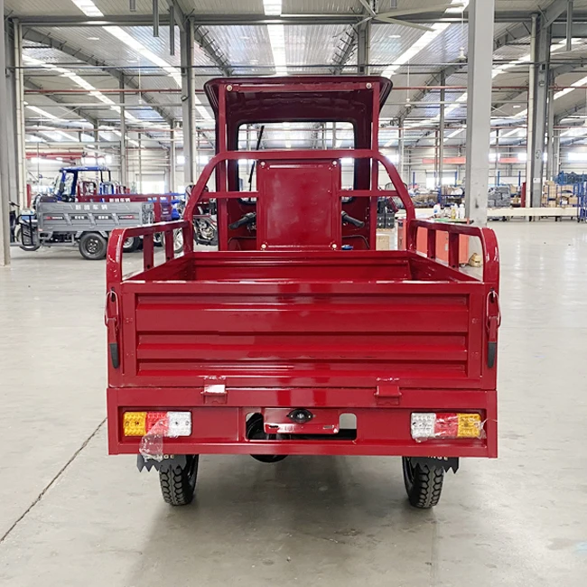 Tanzania Gasoline Engine 200 CC Water-cooled Cargo Tricycle With Awning