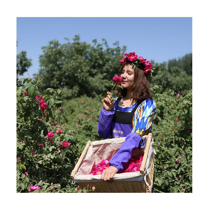 
Water Lavender Water Factory Sale Various Soluble Oil Skin Care Rose Flowers OEM/ODM 