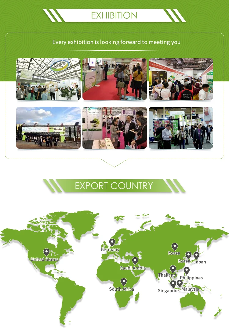 
100% natural Sea Cucumber Extract Powder price 