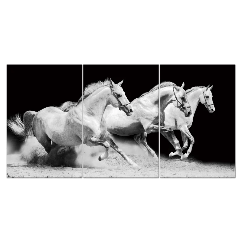 Abstract Cat Wild Animal Acrylic Wall Art Canvas Decorative Painting Digital Painting Photo Series Living Room Bed Room