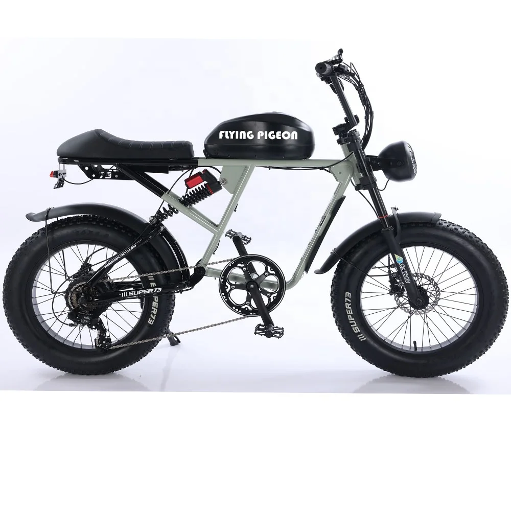 Америка Популярные электрические велосипеды [FP-EB23002]