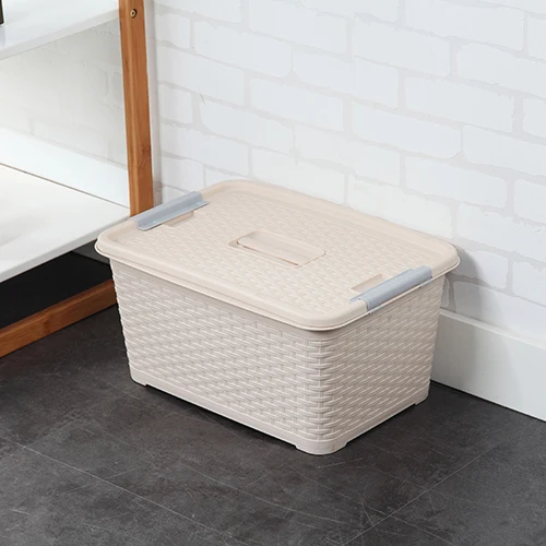 Plastic Rattan Storage Box