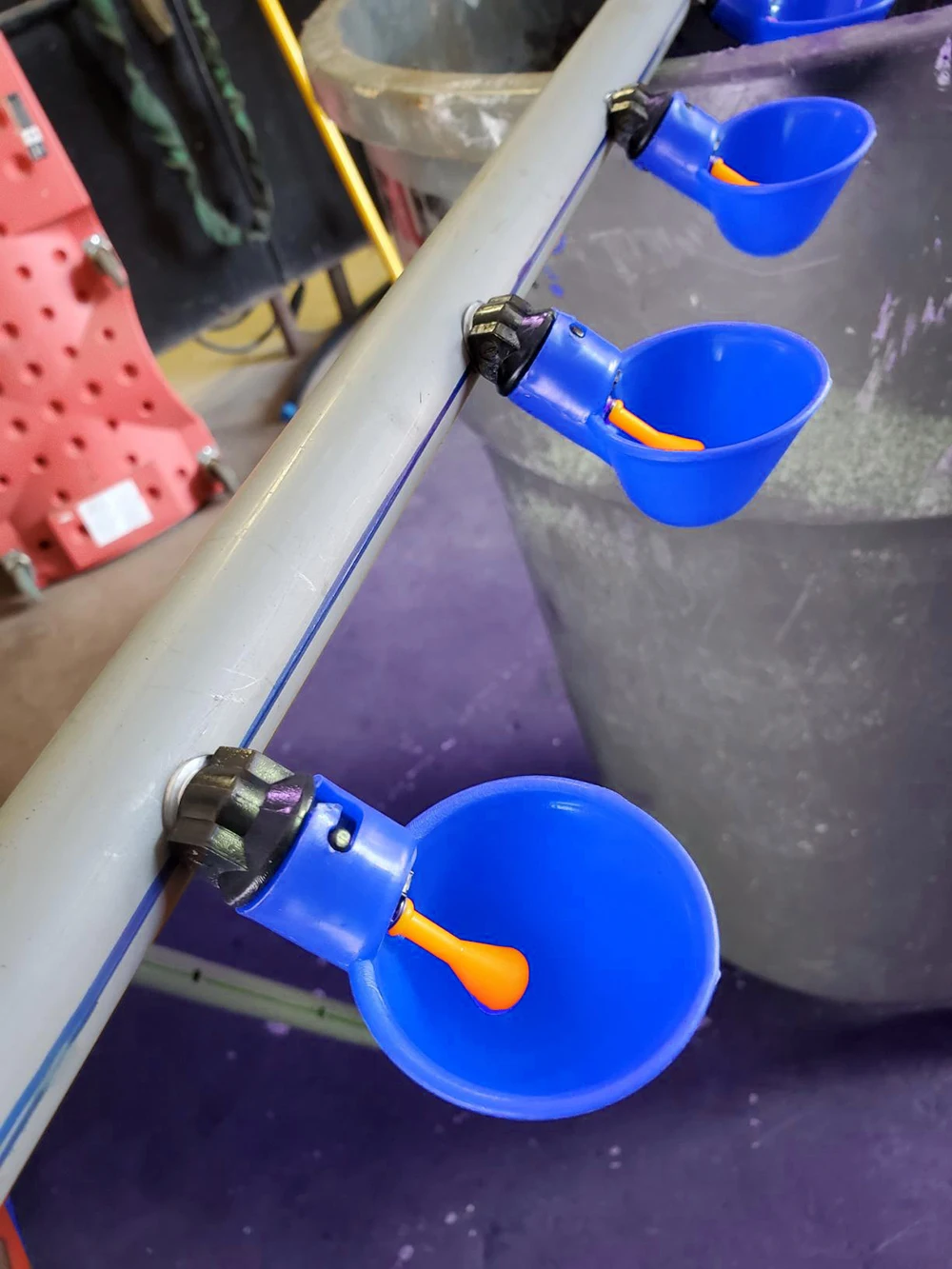 Automatic Chicken Drink Water Cup Blue Quail Hanging Nipple Drinking Bowl Feed Bird Coop Drinker Cups for Backyard Poultry