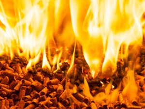 Calorific value high white fir wood pellets to Czech republic coking ash less wood pellet 15 kg