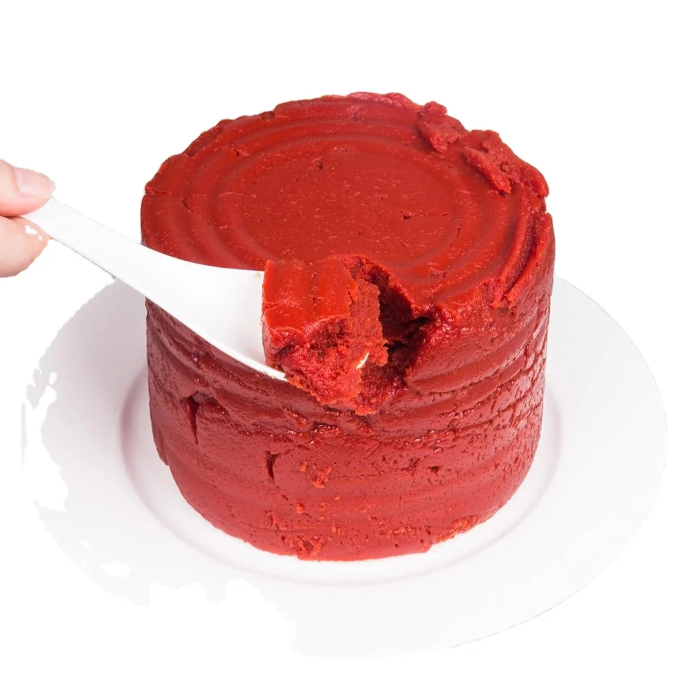 Factory direct canned tomato paste 2200g for Nigeria market