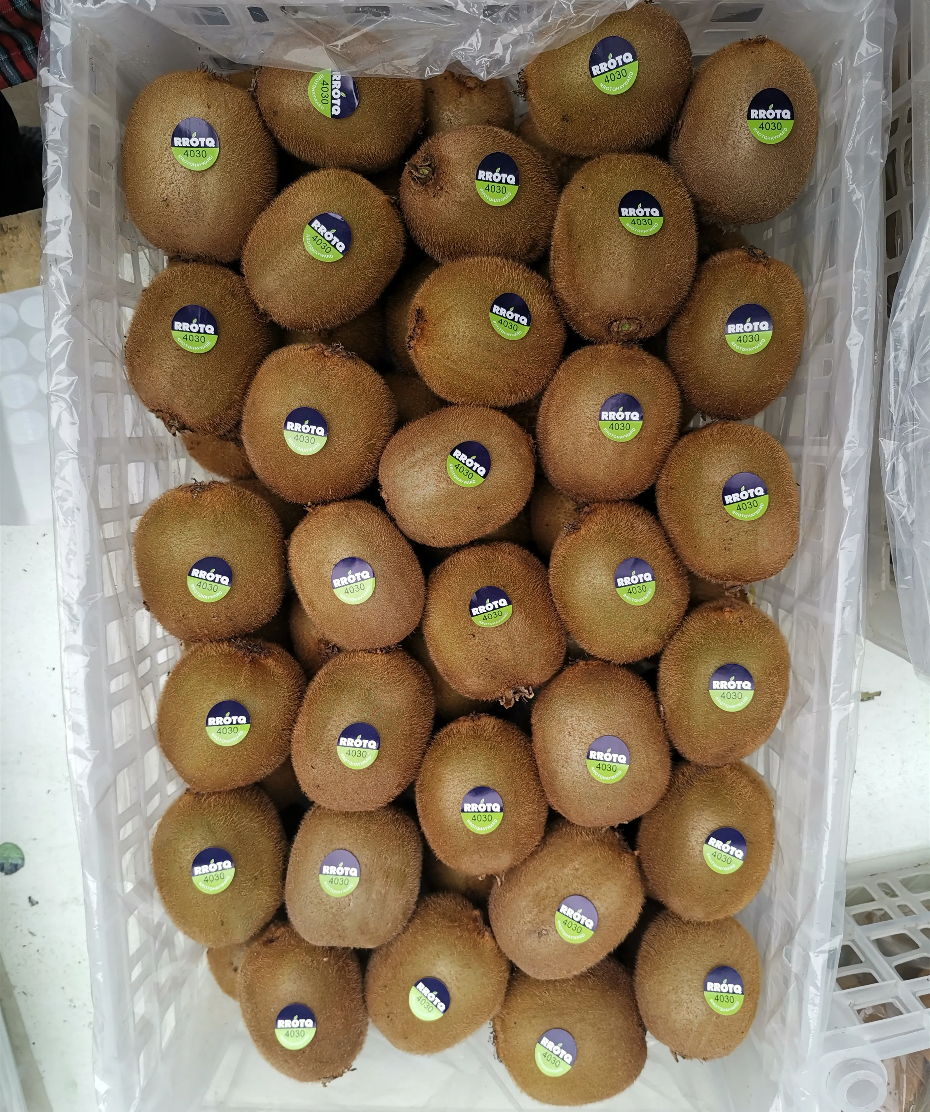 High Nutrition Kiwifruit The Rare Breed Kiwi Fruit Hot Selling  Sweet Crop Style Packing Organic Color