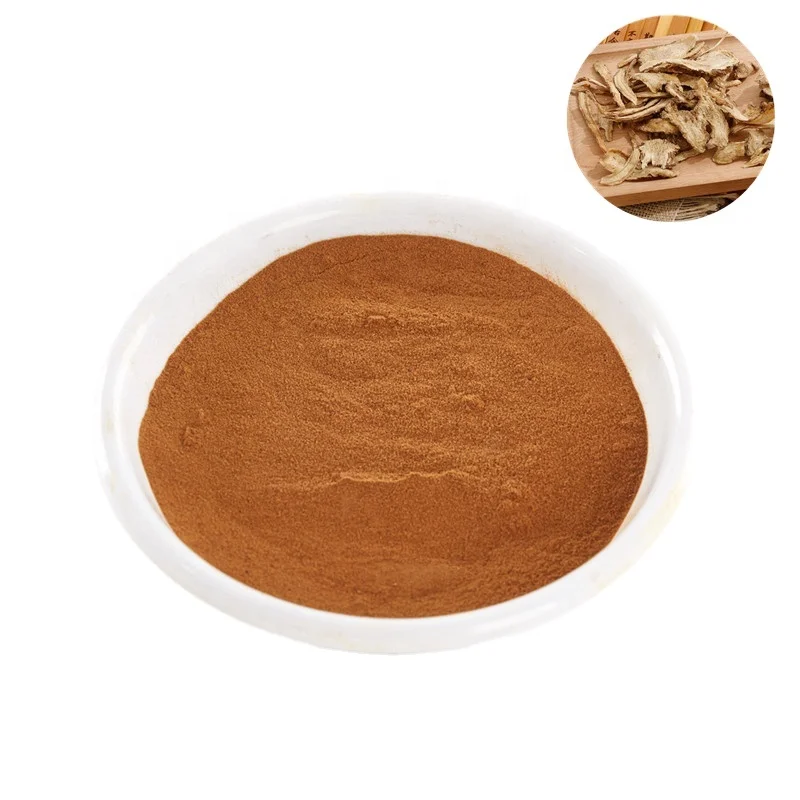 
100% Natural Angelica sinensis powder angelica root powder dong quai extract powder 