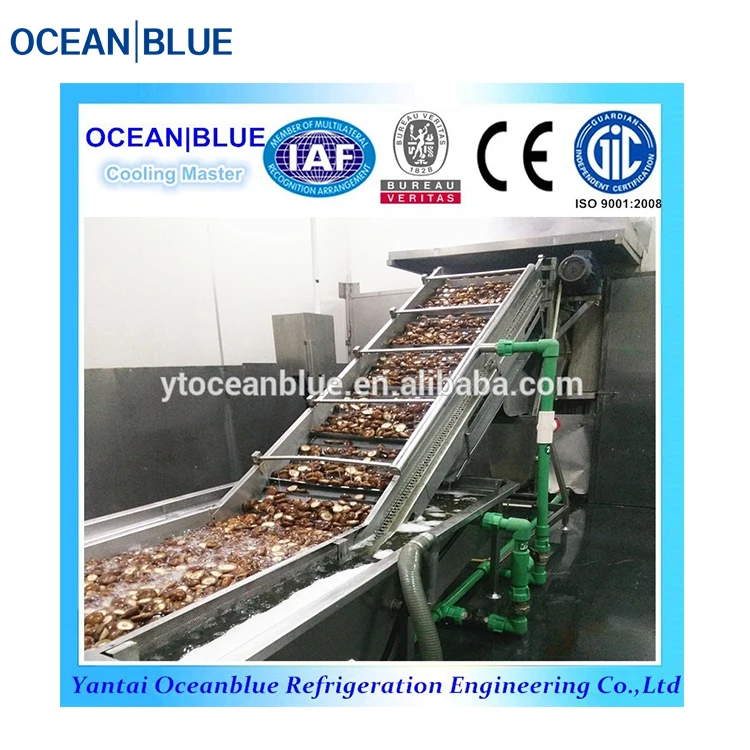 Fish and Meat IQF  Industrial Freezing Equipment