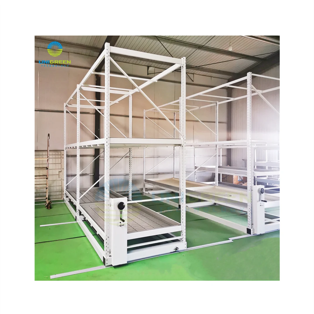 Vertical Grow Rack System 2 Tier With 4x8 Ebb And Flow Tray 3 Level Vertical Grow Work Bench Grow Rack System For Plant Growing