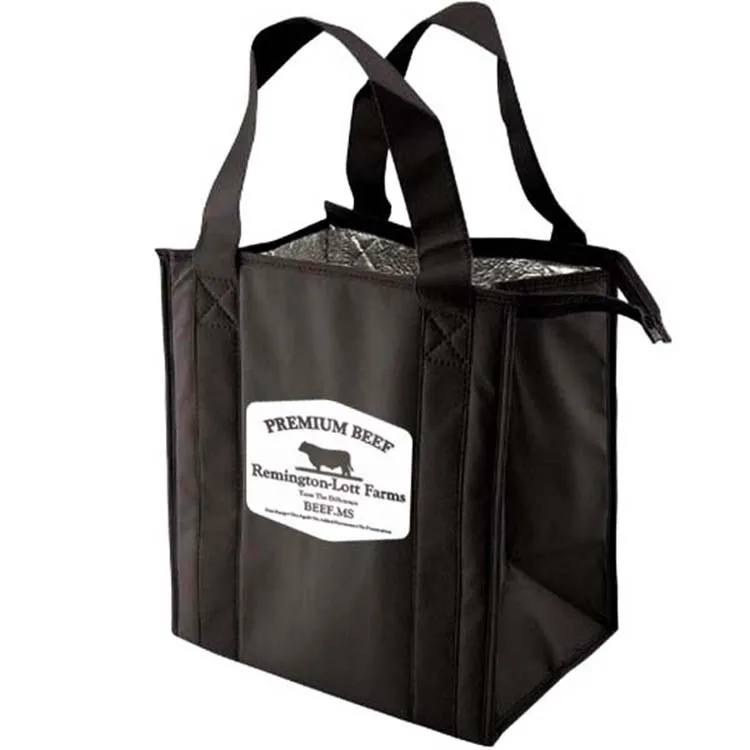 Thermo cooler Bag with black plastic bottom insert