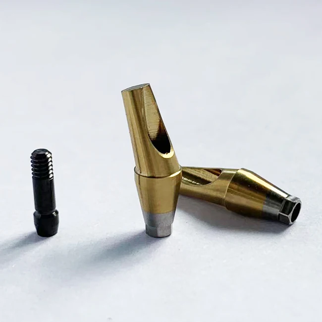 Dental implant Milling CAD CAM Abutment Abutment angled abutment For Neo Biotech with screw