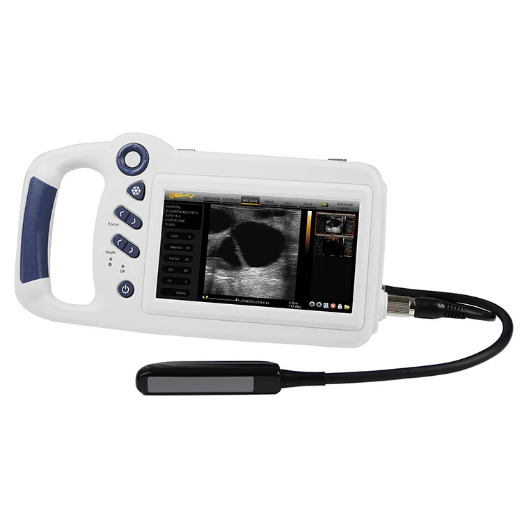 L80 laptop portable animals ultrasound  Veterinary Ultrasound Machine Vet Handheld Ultrasound Scanner