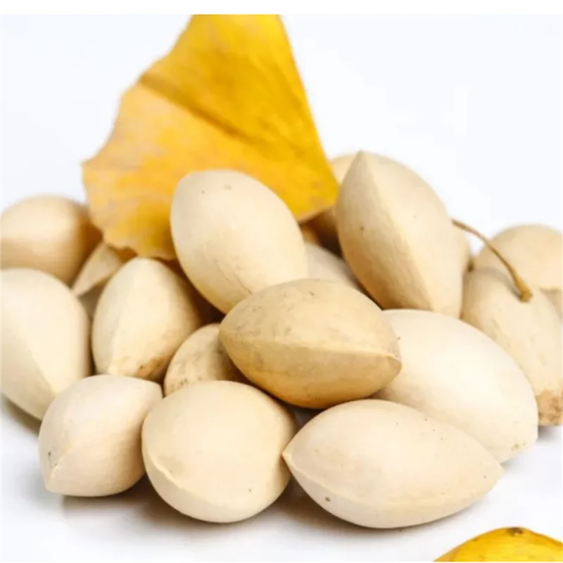 Wholesale 1/6 Hot Selling 100% Pure Ginkgo Nuts Good Price Ginkgo 100% Natural Ginkgo