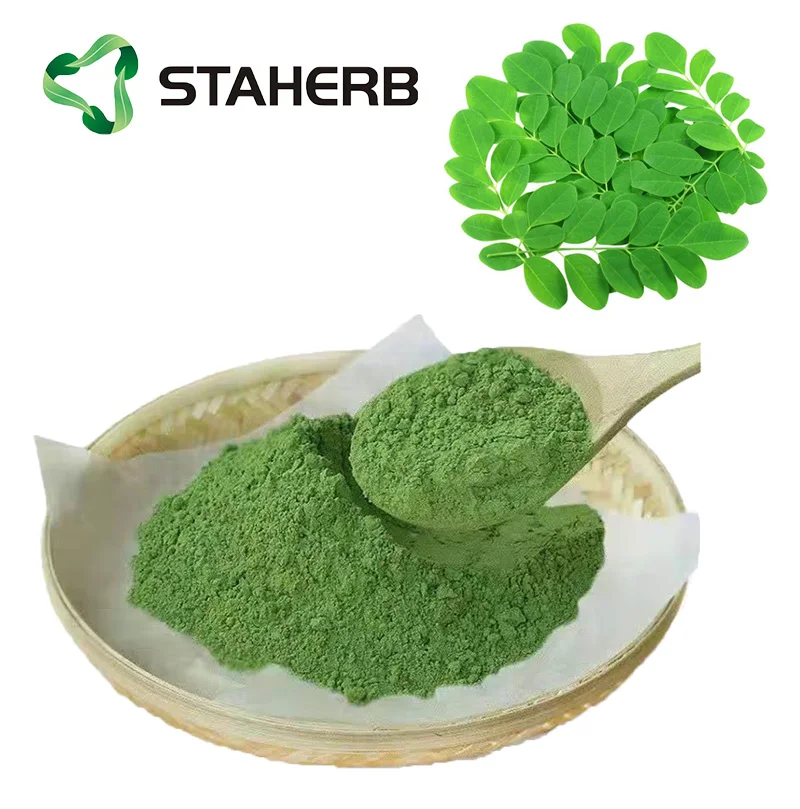 Hot selling top quality moringa oleifera leaf powder / 100% Natural organic Spicy wood leaf powder